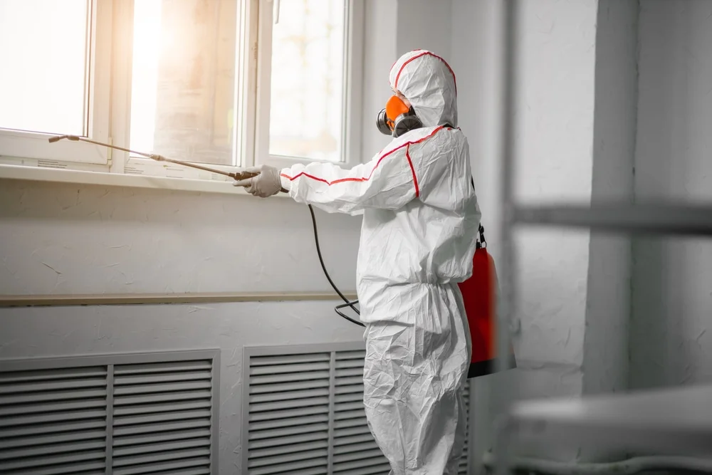 Professional mold remediation services in Waynesboro, VA